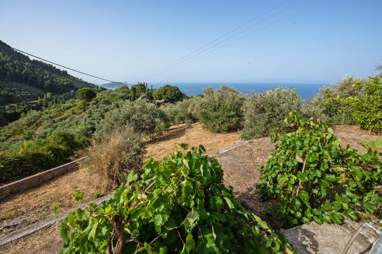 Oneiro Cottage Skopelos Dış mekan fotoğraf